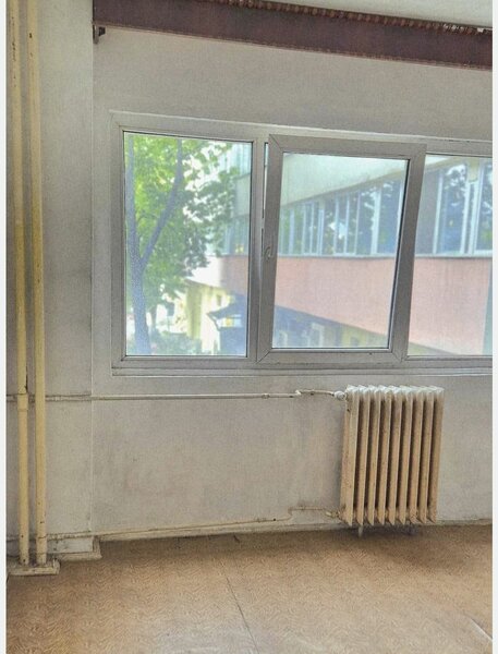 Lacul Tei, stradal, Maica Domnului vav Domino